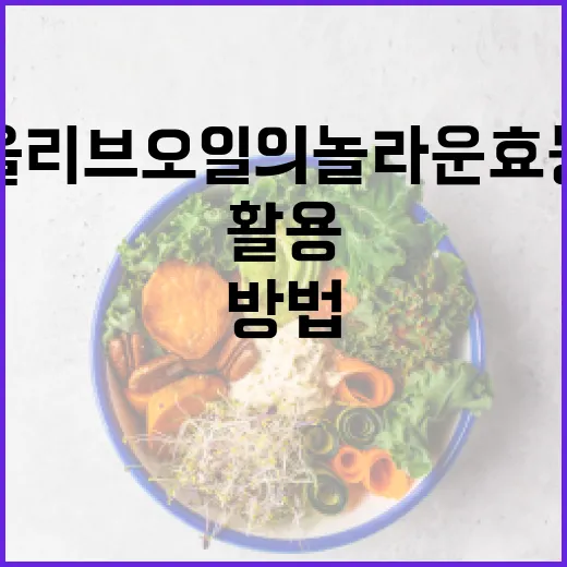 올리브오일의 놀라운 효능을 최대한 활용하는 방법 - 요약