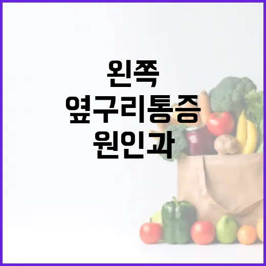 왼쪽 옆구리 통증의 원인과 관리 방법 - 요약
