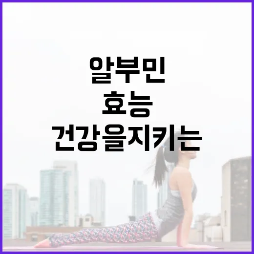 알부민의 효능과 건강을 지키는 방법 - 요약