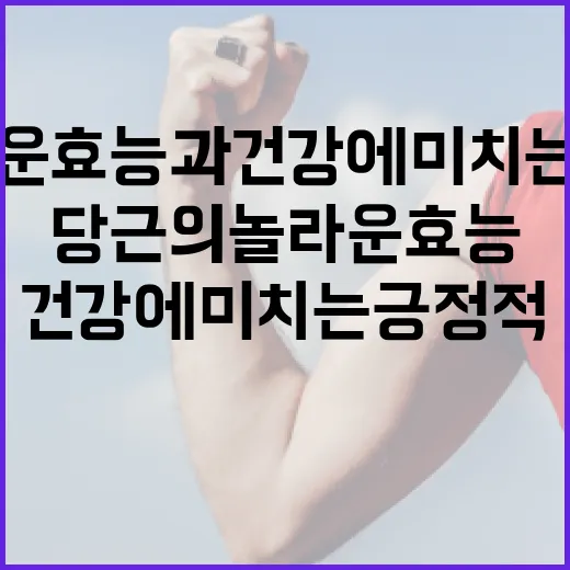 당근의 놀라운 효능과 건강에 미치는 긍정적 영향 - 요약