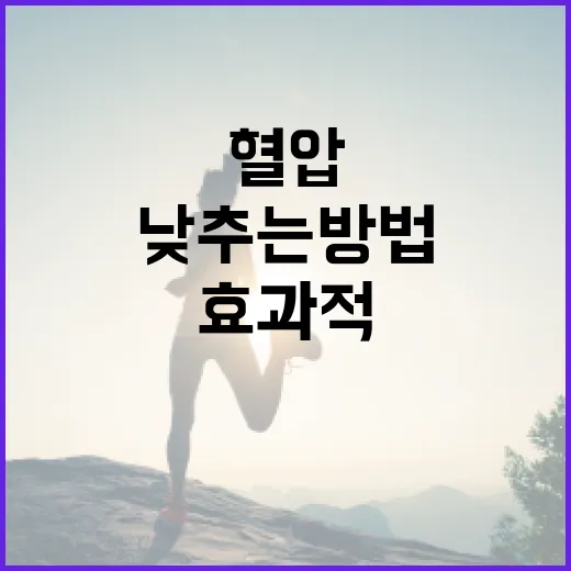 혈압을 효과적으로 낮추는 방법 - 요약