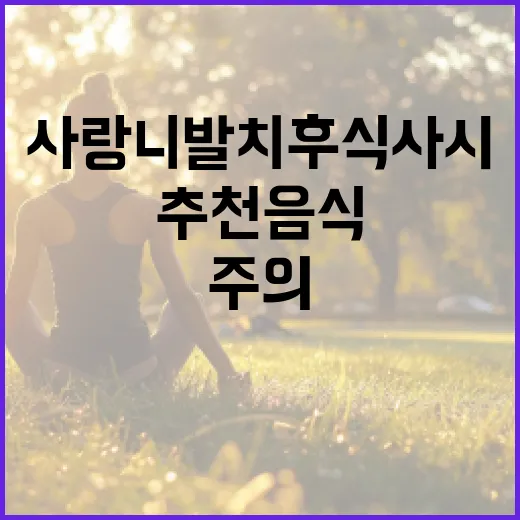 사랑니 발치 후 식사 시 주의할 점과 추천 음식 - 요약