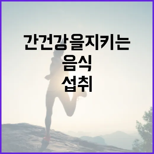 간 건강을 지키는 음식 섭취 방법 - 요약