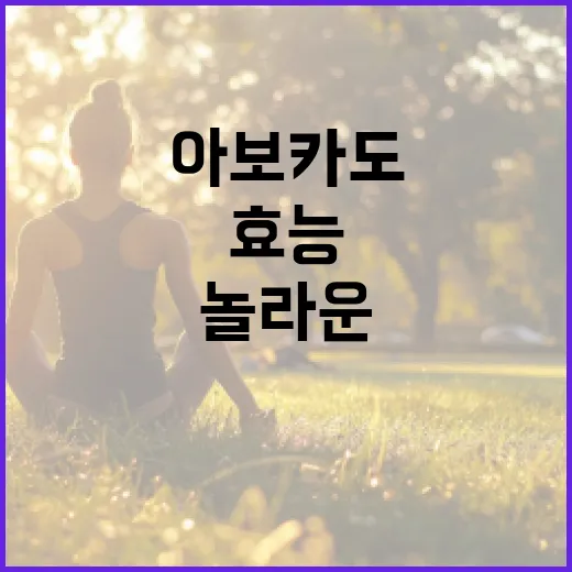 아보카도의 놀라운 효능을 최대한 활용하는 방법 - 요약