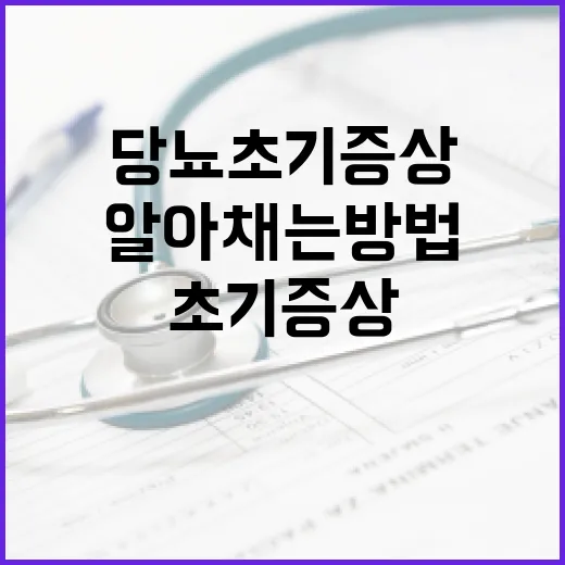당뇨 초기증상을 알아채는 방법 - 요약