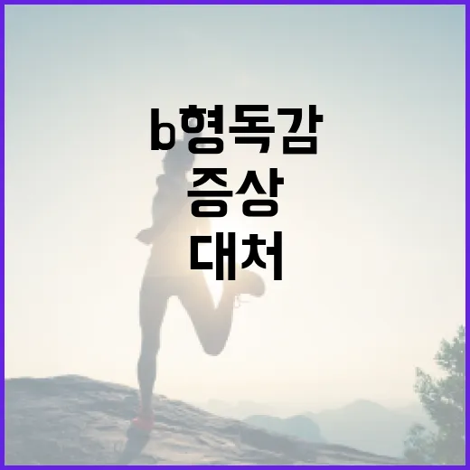 B형 독감 증상을 이해하고 대처하는 방법 - 요약