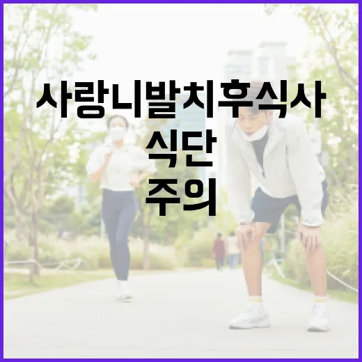 사랑니 발치 후 식사 시 주의할 점과 권장 식단 - 요약