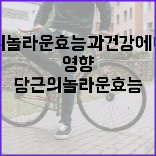 당근의 놀라운 효능과 건강에 미치는 영향 - 요약