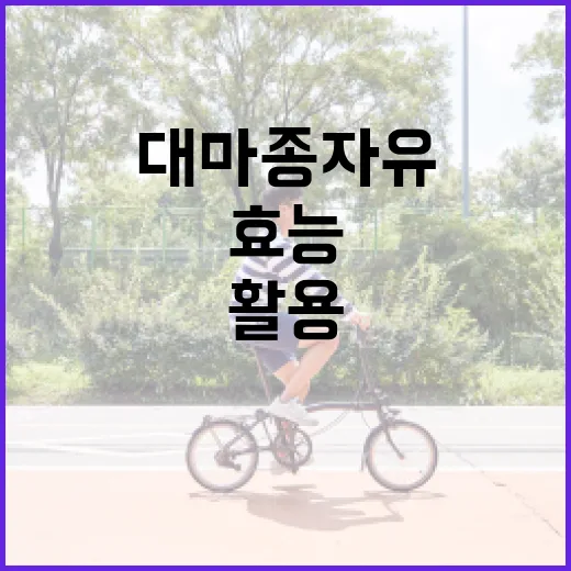 대마종자유의 효능을 최대로 활용하는 방법 - 요약