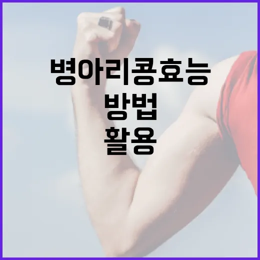 병아리콩 효능을 최대한 활용하는 방법 - 요약
