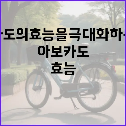 아보카도의 효능을 극대화하는 방법 - 요약