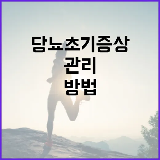 당뇨 초기증상을 인식하고 관리하는 방법 - 요약