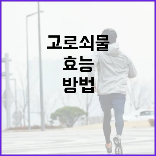 고로쇠물의 효능을 극대화하는 방법 - 요약