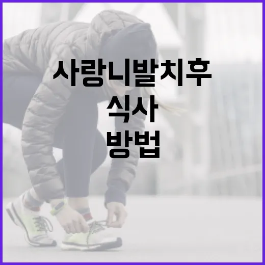사랑니 발치 후 올바르게 식사하는 방법 - 요약