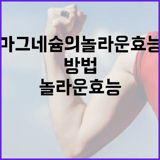 마그네슘의 놀라운 효능을 최대한 활용하는 방법 - 요약