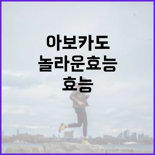 아보카도의 놀라운 효능을 극대화하는 방법 - 요약