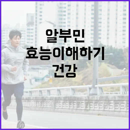 알부민의 효능 이해하기: 건강 유지를 위한 방법 - 요약