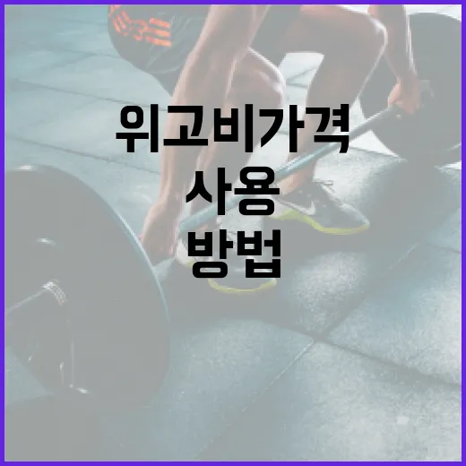 위고비 가격을 이해하고 효과적으로 사용하는 방법 - 요약