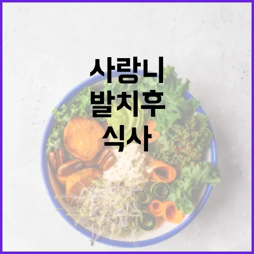 사랑니 발치 후 건강하게 식사하는 방법 - 요약