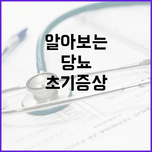 당뇨 초기증상을 알아보는 방법 - 요약