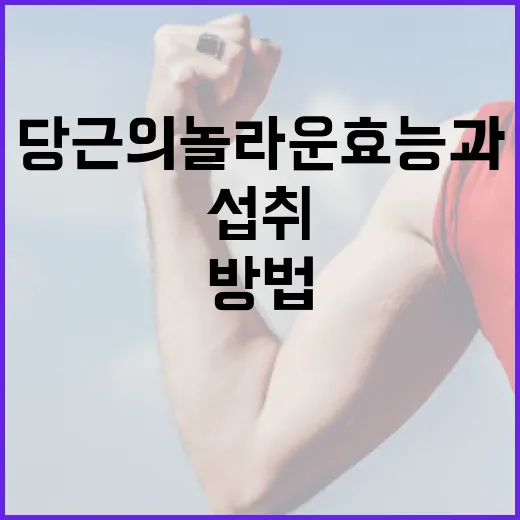 당근의 놀라운 효능과 건강하게 섭취하는 방법 - 요약