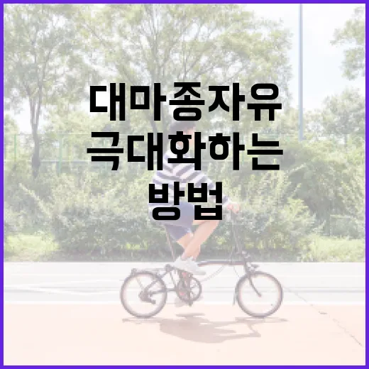 대마종자유의 건강 혜택을 극대화하는 방법 - 요약