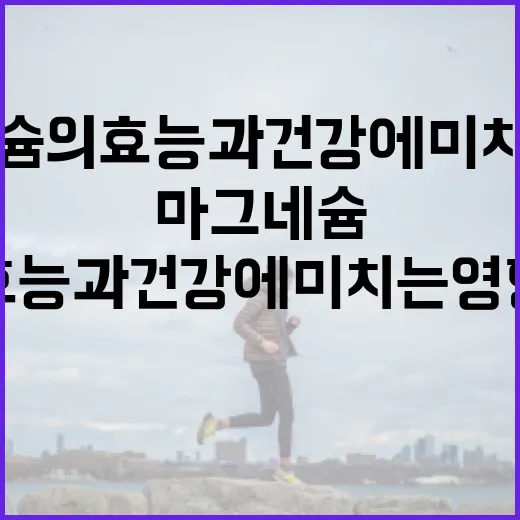 마그네슘의 효능과 건강에 미치는 영향 이해하기 - 요약