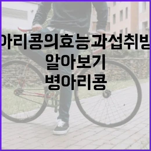 병아리콩의 효능과 섭취 방법 알아보기 - 요약