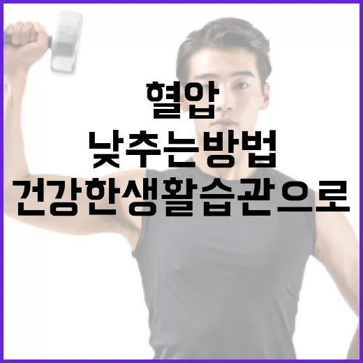 혈압을 낮추는 방법: 건강한 생활습관으로 시작하기 - 요약