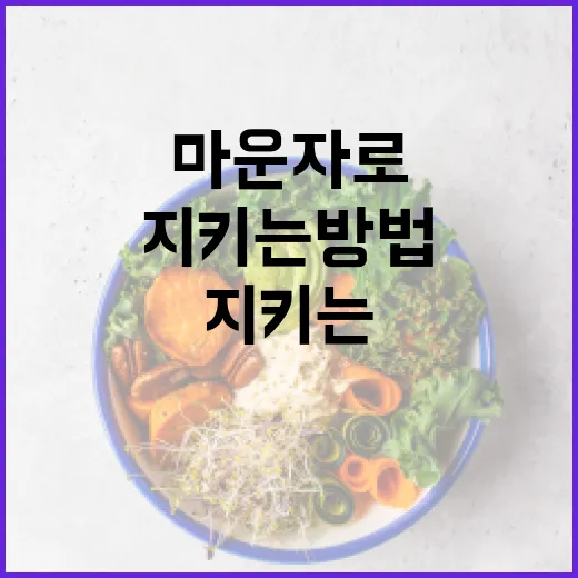 마운자로 건강을 지키는 방법 - 요약