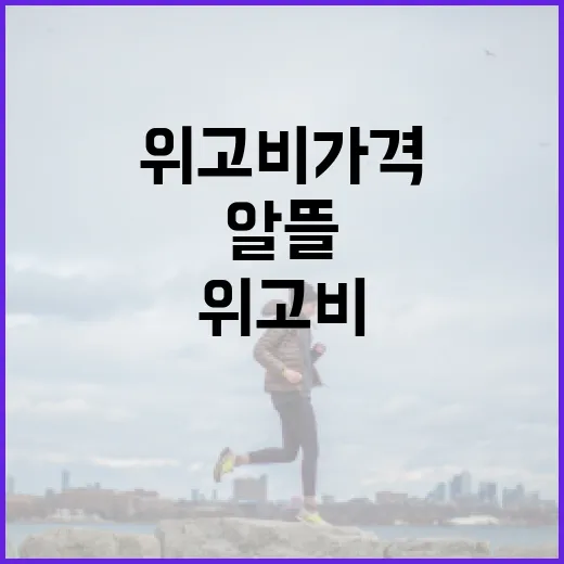 위고비 가격을 이해하고 알뜰하게 사용하는 방법 - 요약