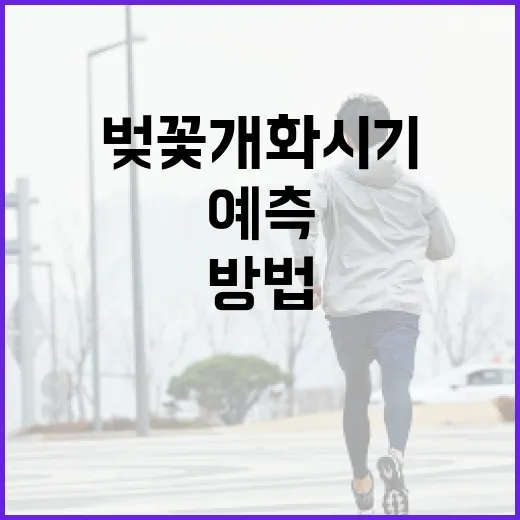 벚꽃 개화시기를 정확히 예측하는 방법 - 요약