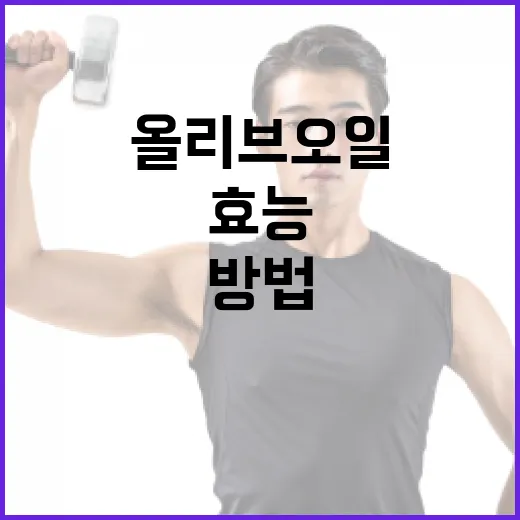 올리브오일의 효능과 건강하게 활용하는 방법 - 요약