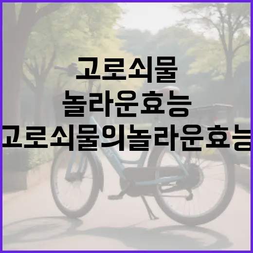 고로쇠물의 놀라운 효능과 활용 방법 - 요약