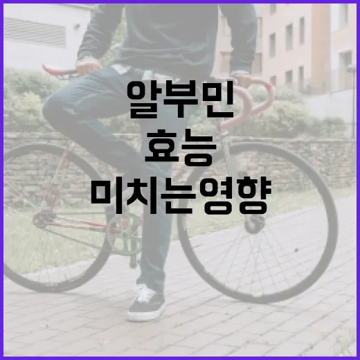 알부민의 효능과 건강에 미치는 영향 - 요약