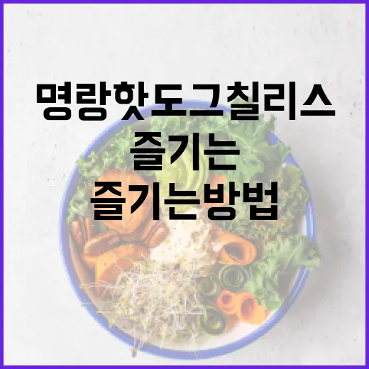명랑핫도그 칠리스로 맛있고 건강하게 즐기는 방법 - 요약