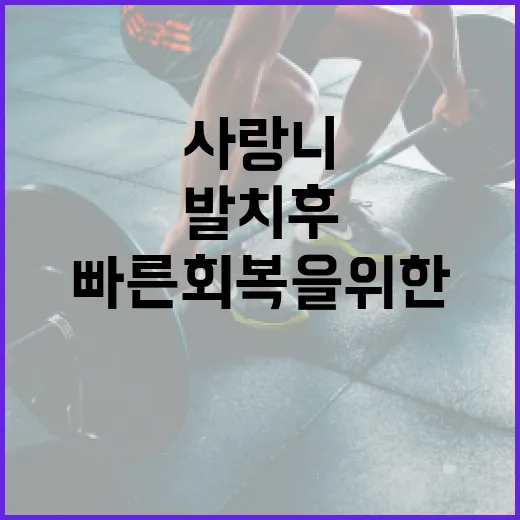 사랑니 발치 후 식사: 안전하고 빠른 회복을 위한 방법 - 요약