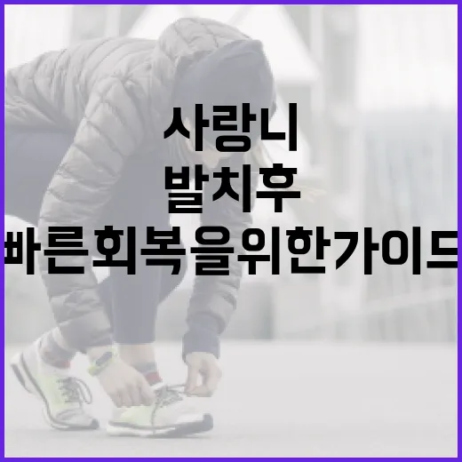 사랑니 발치 후 식사 방법: 안전하고 빠른 회복을 위한 가이드 - 요약