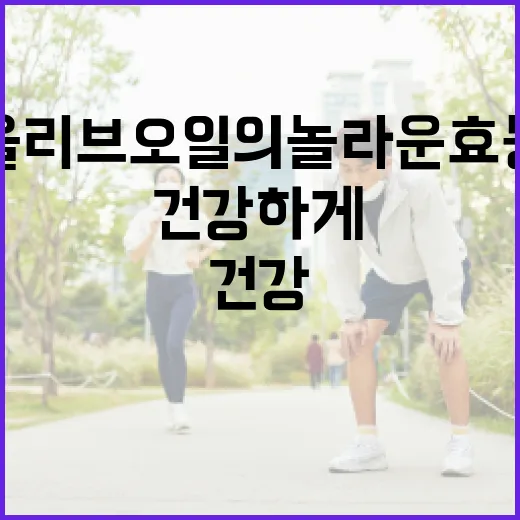 올리브오일의 놀라운 효능과 건강하게 활용하는 방법 - 요약