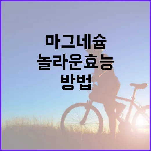 마그네슘의 놀라운 효능을 이해하고 활용하는 방법 - 요약