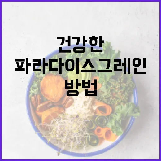 파라다이스그레인을 활용한 건강한 식단 구성 방법 - 요약