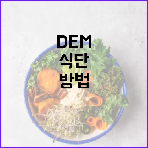 식단에서 DEM을 최대한 활용하는 방법 - 요약