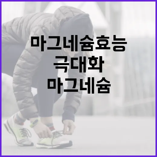 마그네슘 효능을 극대화하는 방법 - 요약