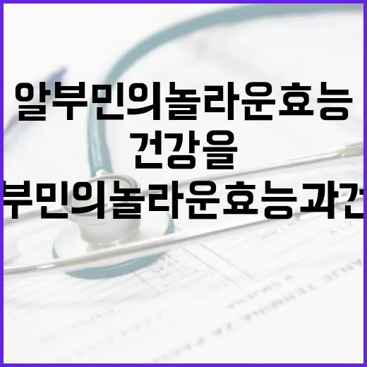 알부민의 놀라운 효능과 건강을 위한 활용 방법 - 요약