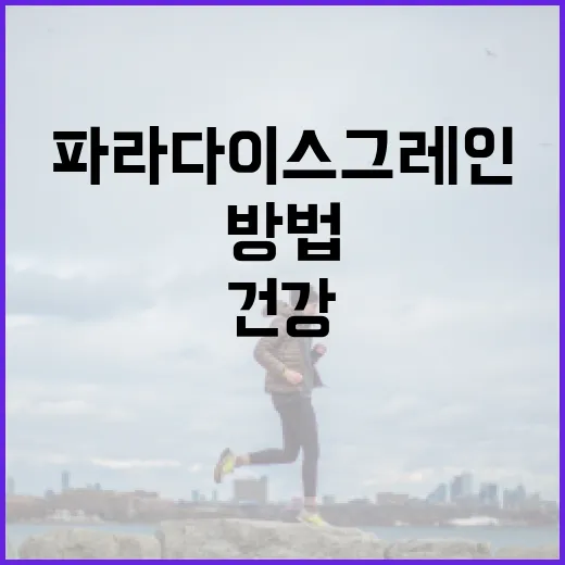 파라다이스그레인을 활용하여 건강하게 식사하는 방법 - 요약