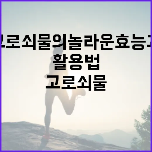 고로쇠물의 놀라운 효능과 활용법 - 요약