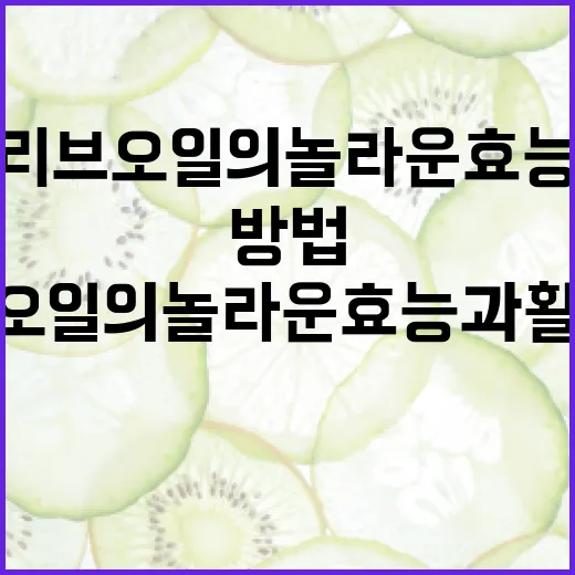 올리브오일의 놀라운 효능과 활용 방법 - 요약