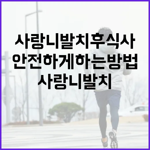 사랑니 발치 후 식사를 안전하게 하는 방법 - 요약