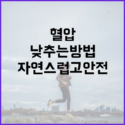 혈압을 낮추는 방법: 자연스럽고 안전한 접근 - 요약