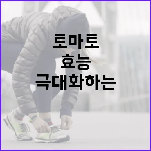 토마토의 효능을 극대화하는 방법 - 요약